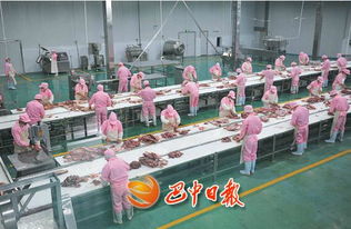 盤活資源聚攏資本，巴中工業產業扶貧“接地氣” 肉制品加工開出致富良方